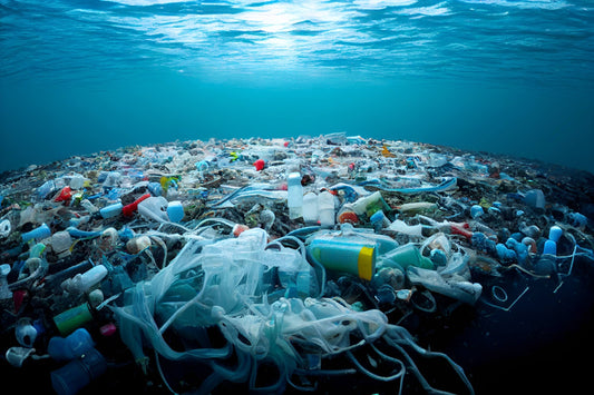 Ocean Clean Up
