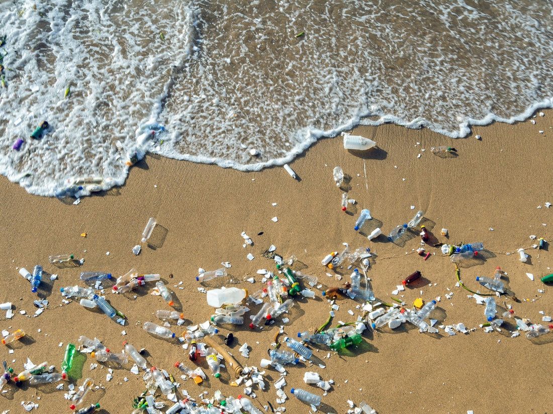 How much is actually Recycled?