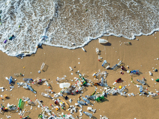 How much is actually Recycled?